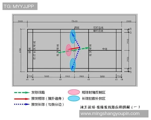 上海排球队的战术节奏分析与未来发展展望 上海排球队的战术节奏分析与未来发展展望