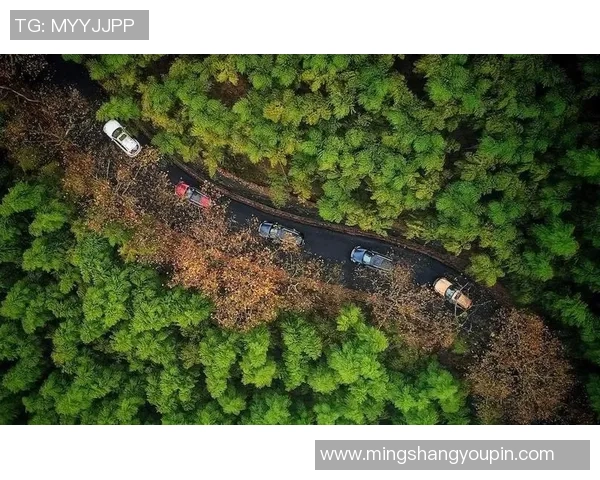 攀岩人生的深度探索与心灵对话赵伟的成长与挑战之路 攀岩人生的深度探索与心灵对话赵伟的成长与挑战之路