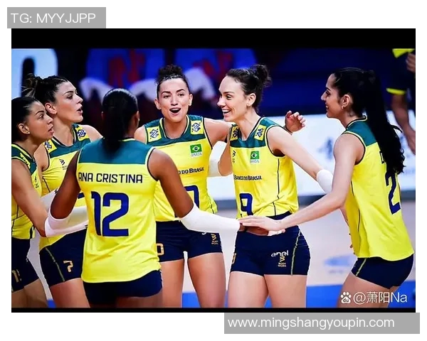 排球盛宴:深入分析杭州排球队的训练与竞技状态 排球盛宴:深入分析杭州排球队的训练与竞技状态