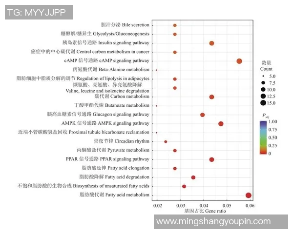 独家深度解析V5速度表现与竞争对手的全面对比分析 独家深度解析V5速度表现与竞争对手的全面对比分析