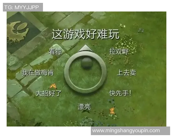 DOTA2新手必看全方位技术入门指南助你快速上手游戏技巧