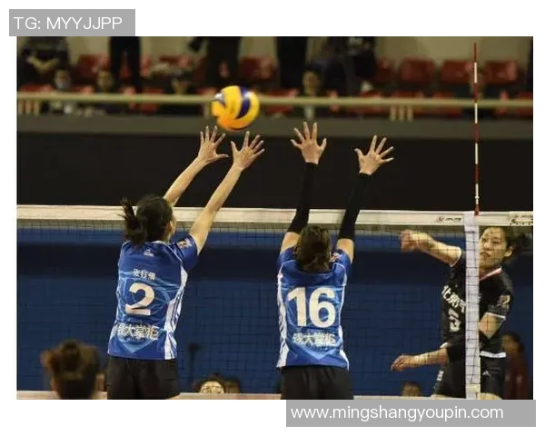 上海排球队的默契配合与战术分析探讨 上海排球队的默契配合与战术分析探讨