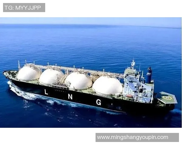 专业解析LNG市场的防御与反击策略探讨 专业解析LNG市场的防御与反击策略探讨