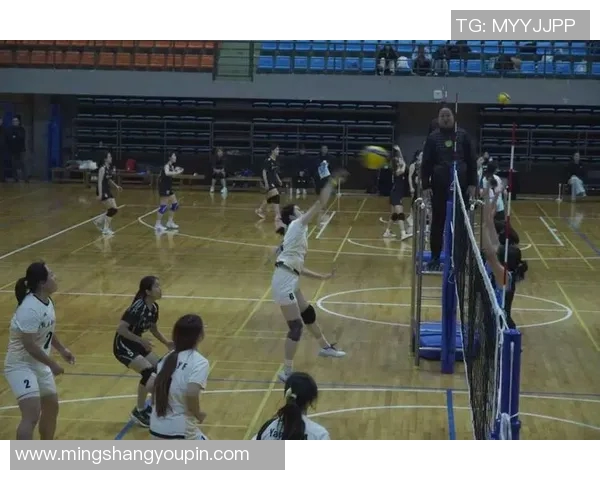 成都排球队的奋斗与荣耀:一段排球精神的真实纪实之旅 成都排球队的奋斗与荣耀:一段排球精神的真实纪实之旅