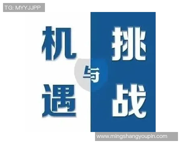 重庆足球队运营分析：成功与挑战并存的背后故事