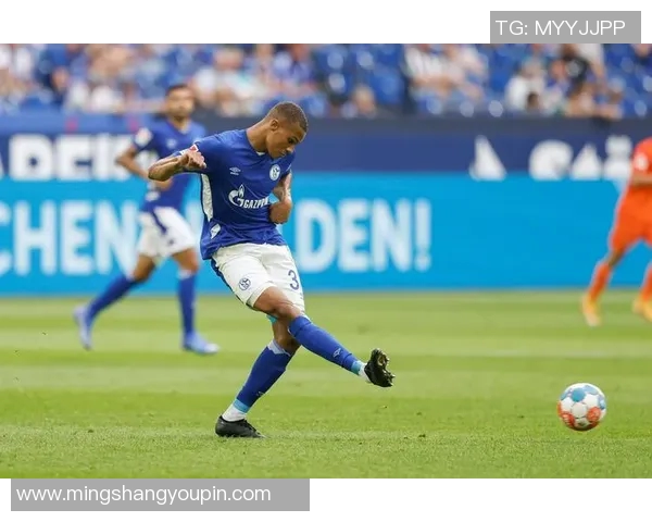 雷根斯堡与菲尔德的精彩对决分析与赛后点评