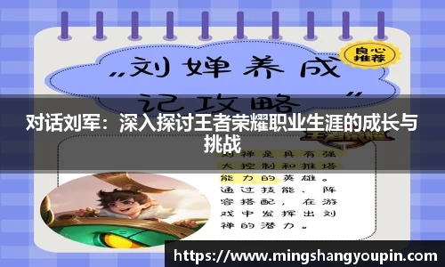 对话刘军：深入探讨王者荣耀职业生涯的成长与挑战